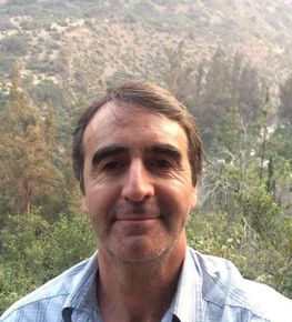 Biosíntesis Psicoterapia Somática Alejandro Olea
