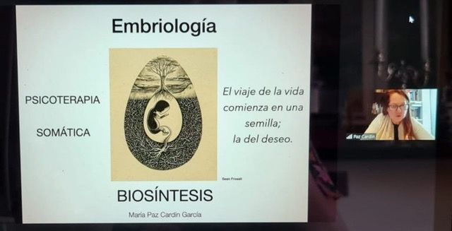 Biosíntesis Psicoterapia Somática Taller Embriología